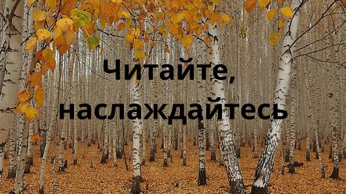 main post image