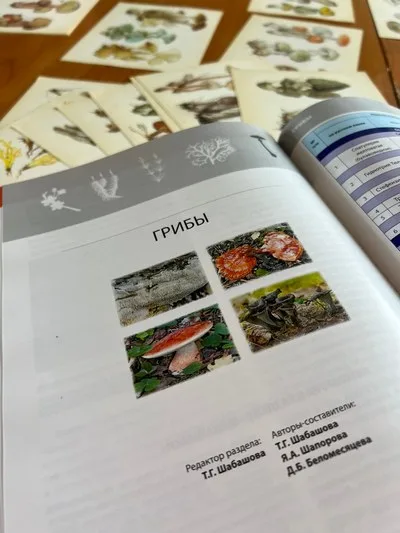 "Лес под защитой: что нужно знать грибнику и ягоднику о новой Красной книге"