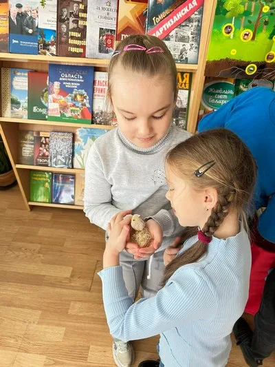«Лес полон чудес»
