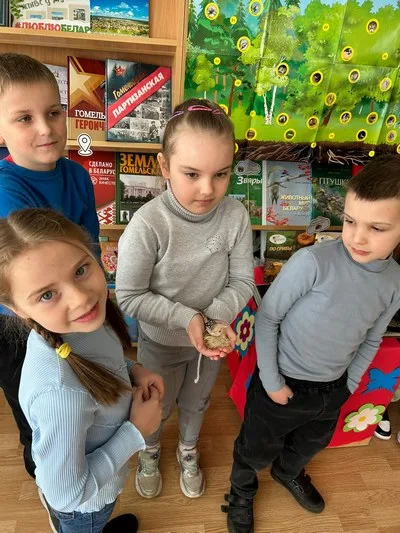 «Лес полон чудес»