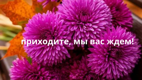 "Осень - прекрасное время для чтения"