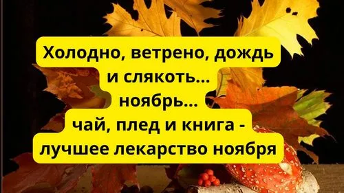 «Осень  - самое уютное время для чтения»