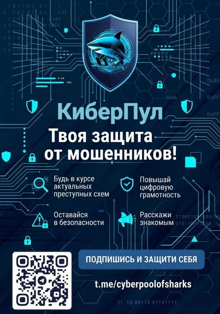 Проверь.Бел: Ваша кибербезопасность